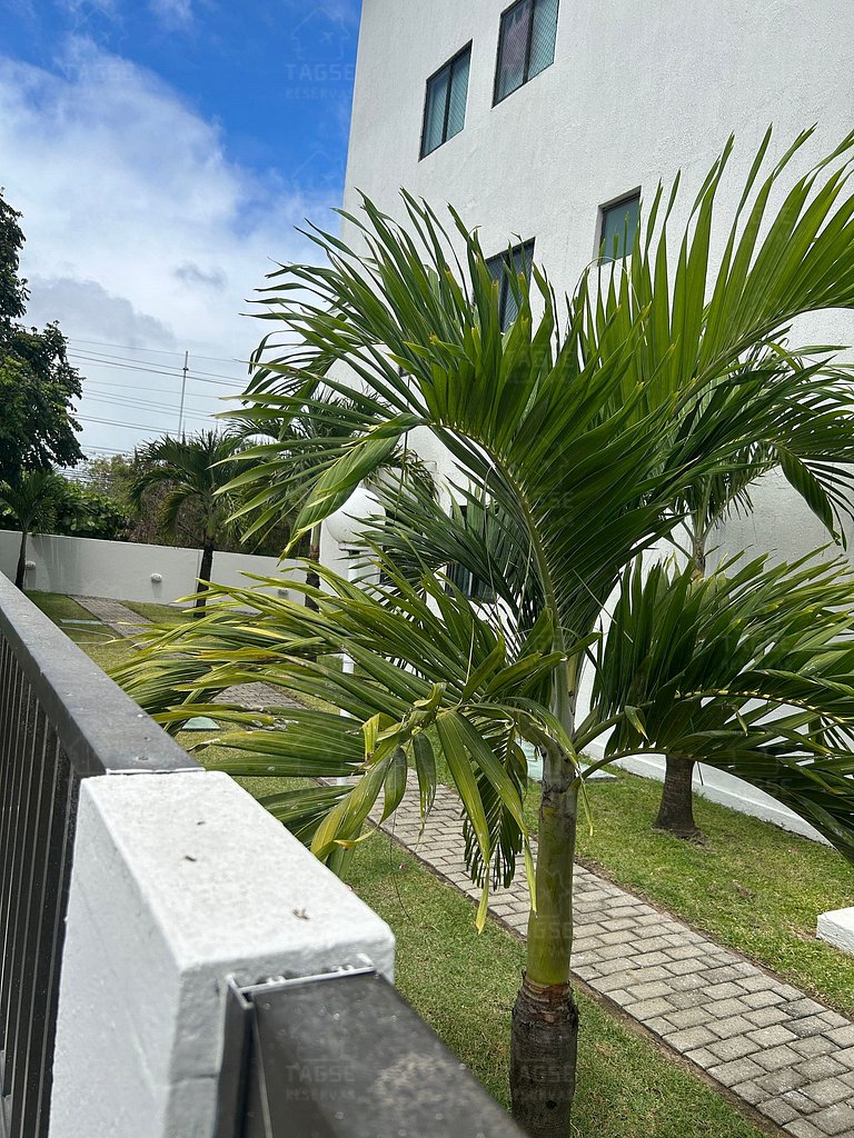 SEA205| Praia e Centrinho a Poucos Passos